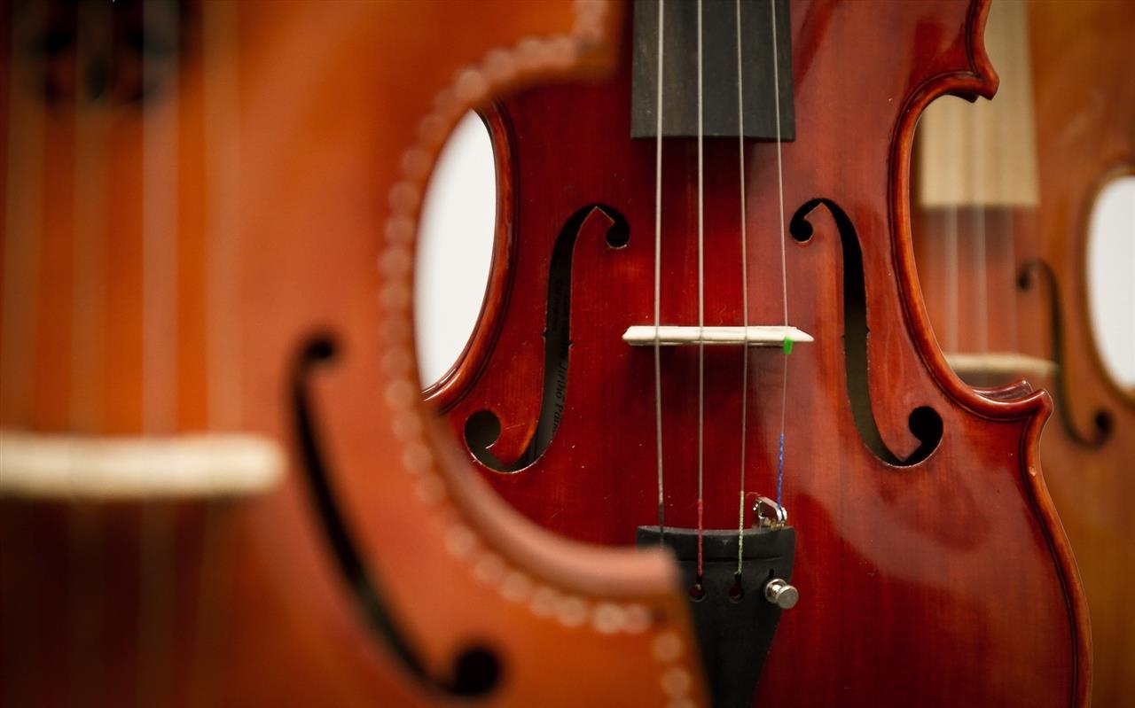 تركيبات صدایی در در ساز ویولا (Viola)