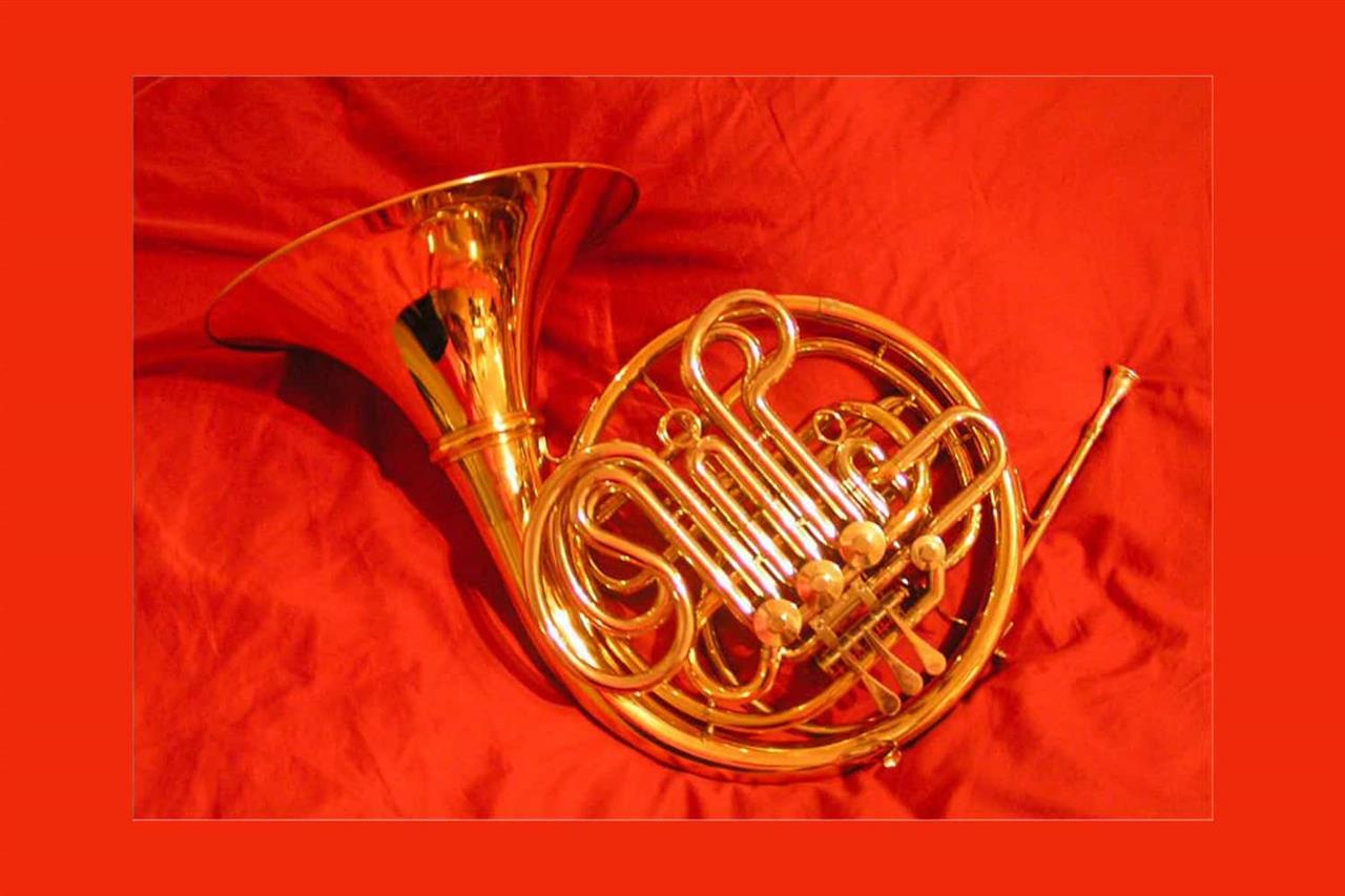 مشخصه‌های صدا در ساز هورن وینی (Viennese Horn)