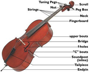 ساختار ساز ويولنسل يا چلو (Cello or Violoncello)